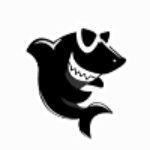 黑鲨装机大师官方下载 v11.5.47.1530 纯净版