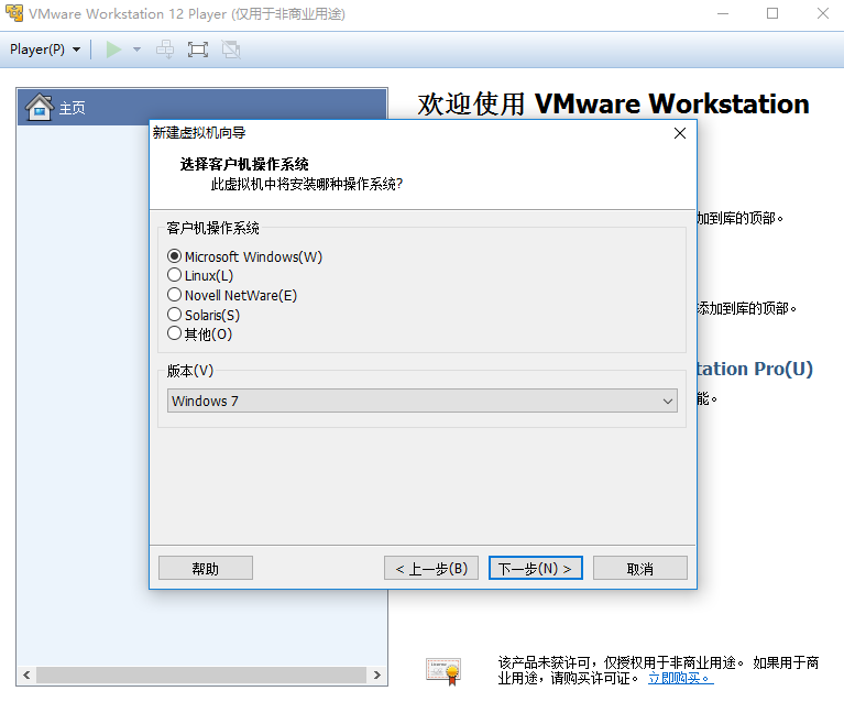 VMware Player 中创建新虚拟机的方法3