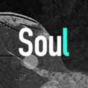 Soul软件下载 v3.24.0 官方版