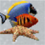 水族箱热带鱼屏保免费下载 v3.3 破解版
