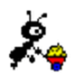 NetAnts网络蚂蚁官方下载工具 v1.25 电脑版