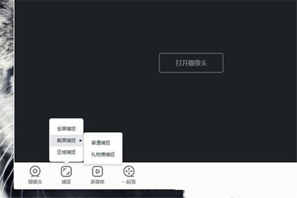 YY开播官方版怎么捕捉窗口屏幕2