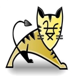 Tomcat6下载 v6.0 最高版本