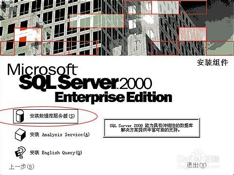 microsoft sql server 2000中文版3