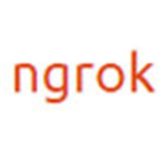 ngrok内网穿透软件客户端下载 官方版