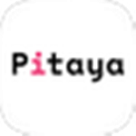 Pitaya火龙果写作软件下载