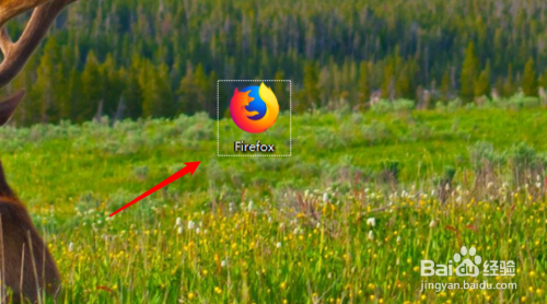 火狐浏览器开发者版如何设置兼容模式1