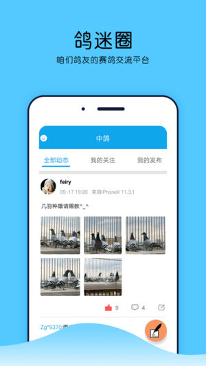 中鸽网app下载安装 v2.3.8 官方版