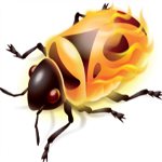 firebug插件安装包下载 v2.0.16 中文版