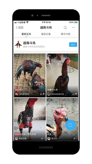 中国斗鸡论坛手机版app下载 v2.6.9 最新版