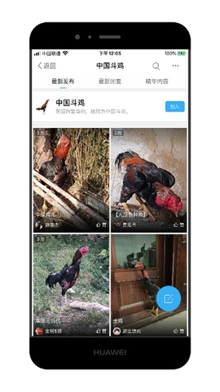 中国斗鸡论坛手机版app下载 v2.6.9 最新版