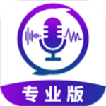 王者变声器免费版app安卓版下载 v2020 手机版