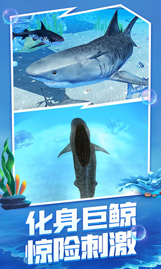海底大猎杀攻略