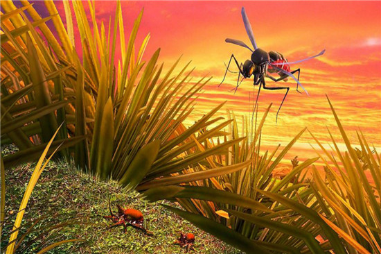 蚊子模拟器3D妹子福利版游戏亮点