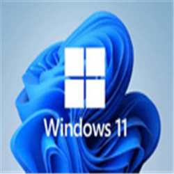 Windows 11专业版