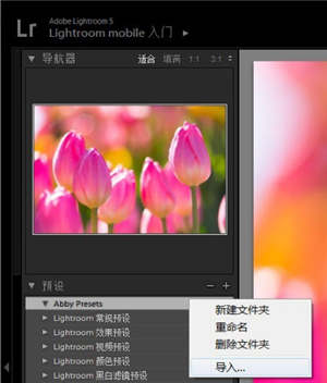 Adobe Photoshop Lightroom如何导入预设1