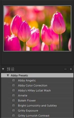 Adobe Photoshop Lightroom如何导入预设3