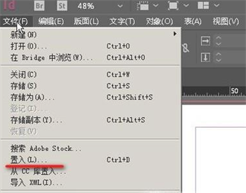 Adobe InDesign CS4使用方法3